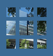 2025 Sustainability Supplement